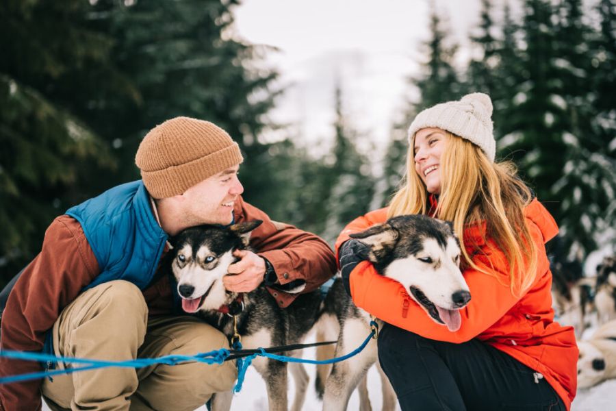 Mensen knuffelen met huskies tijdens een huskytocht in Whistler in West-Canada.