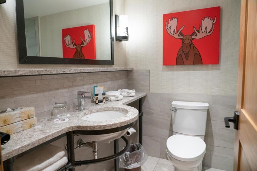 Badkamer bij Moose Hotel & Suites in Banff Canada