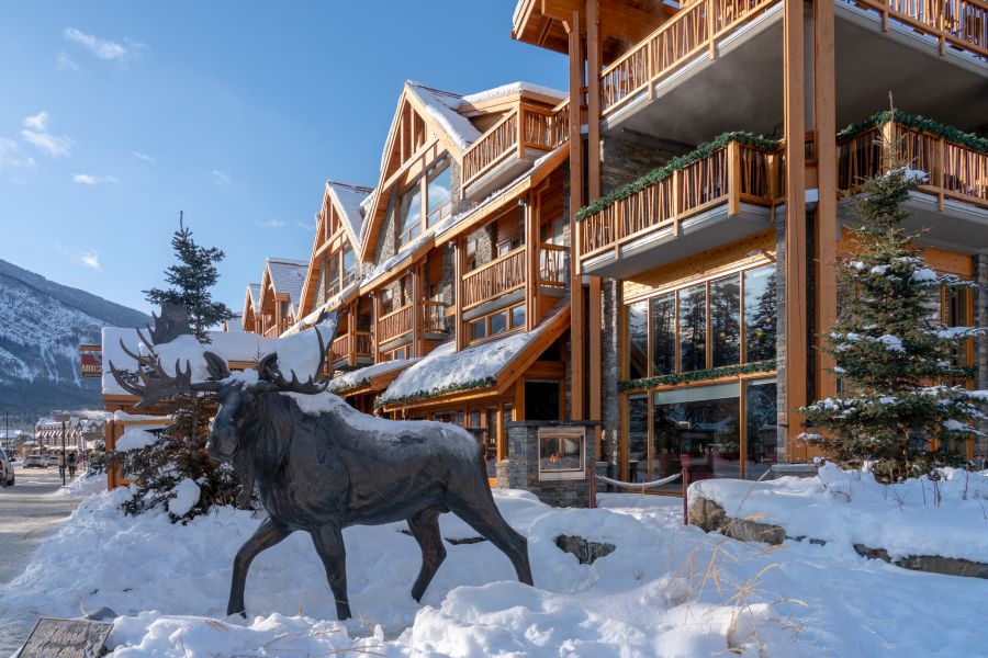 Moose standbeeld voor de deur van Moose Hotel in Banff Canada