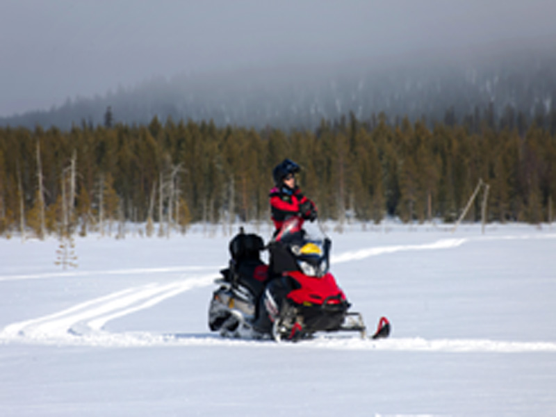 Saariselka Kennismaking met de Sneeuwscooter 