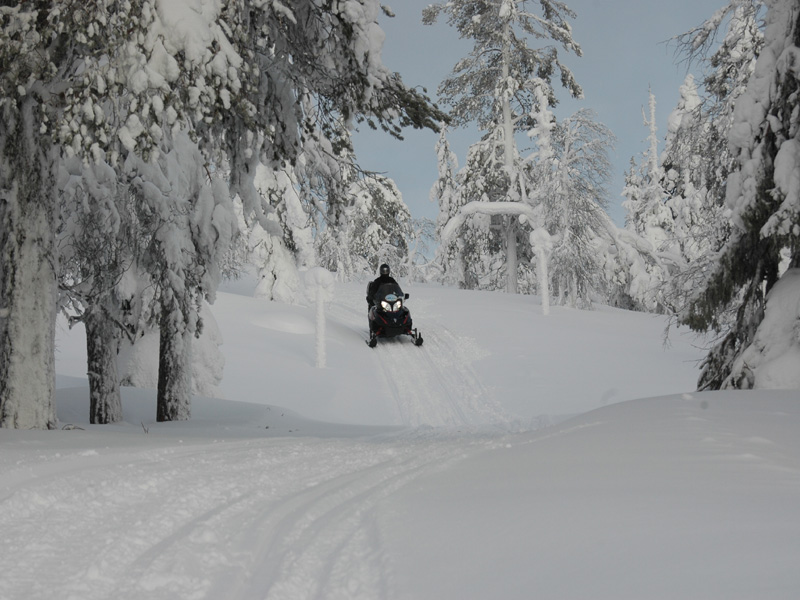 Saariselka Sneeuwscootersafari voor gevorderden