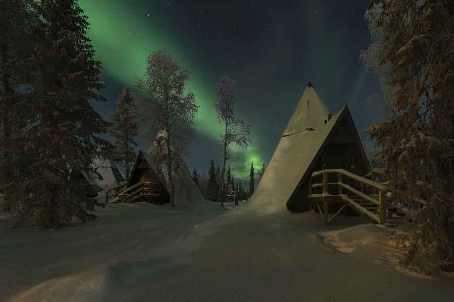 Kota met Noorderlicht