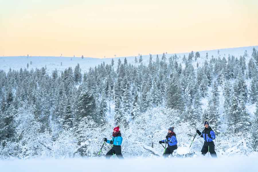 Sneeuwschoen safaris