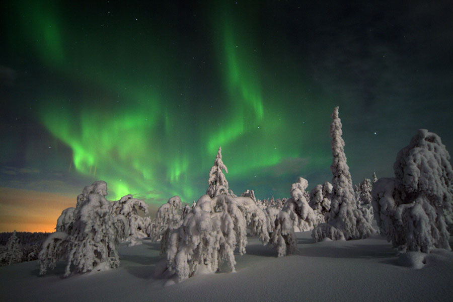 K5 Hotel, Levi Lapland 2021/2022