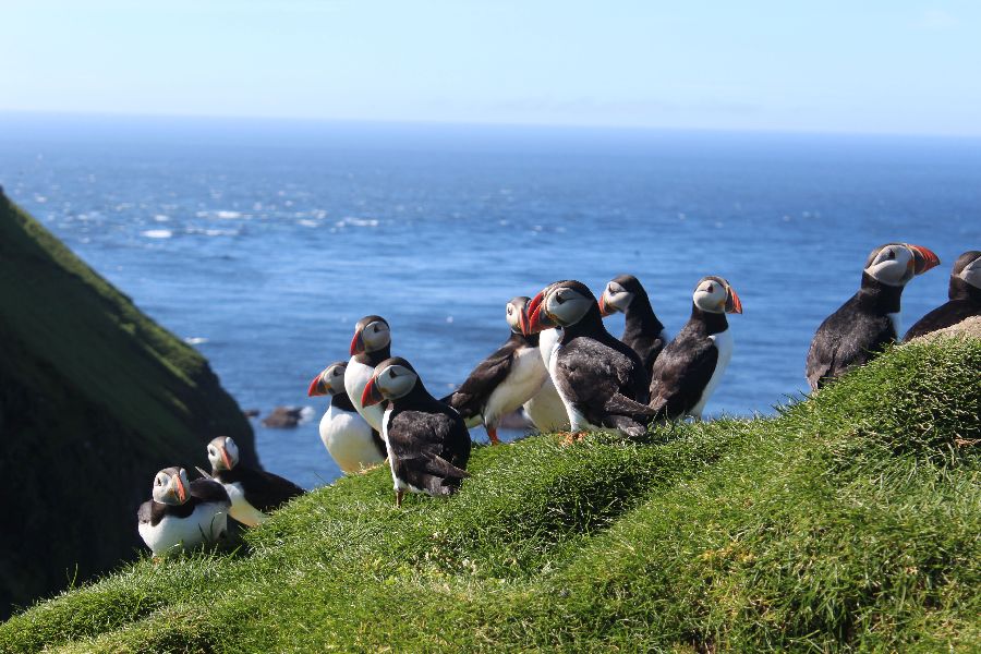 Faroer Eilanden Fly Drive