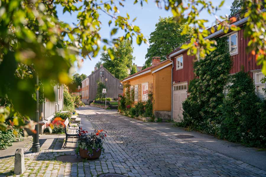 Hurtigruten reis Kirkenes - Bergen met BBI Travel