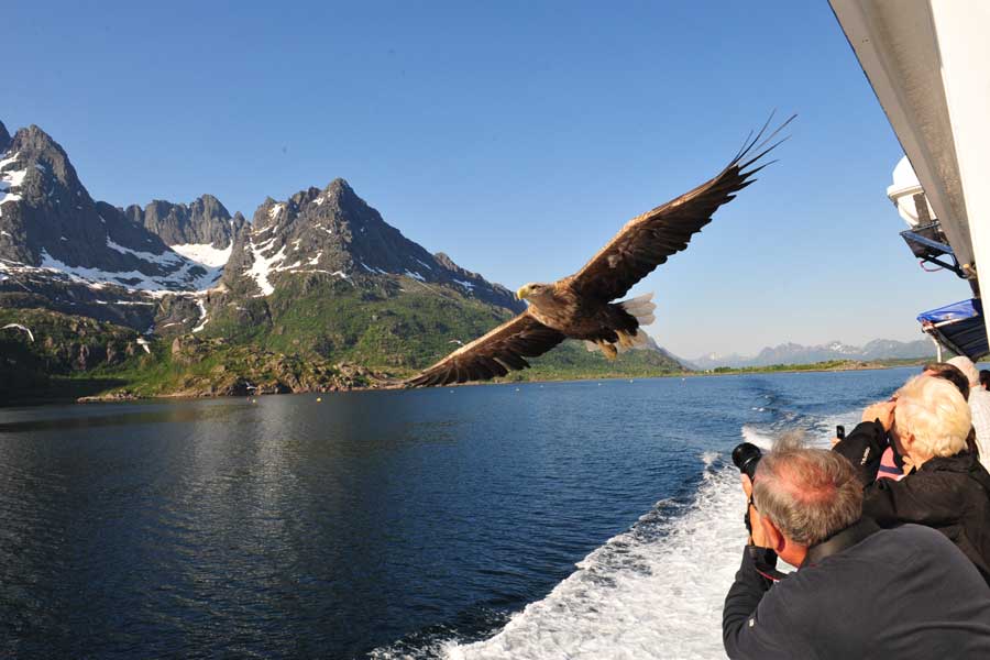 Hurtigruten reis Kirkenes - Bergen met BBI Travel