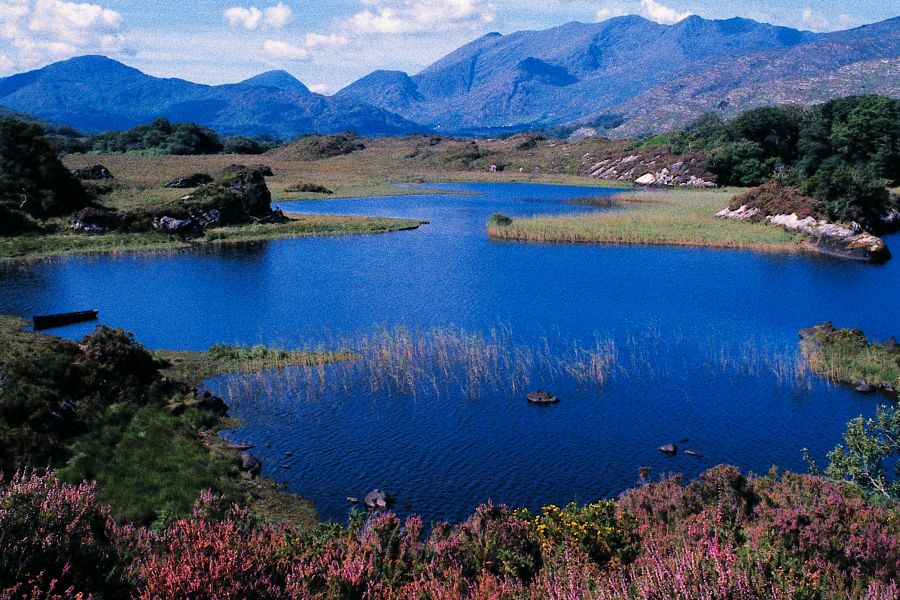 Killarney Lakes autorondreis Ierland B&B