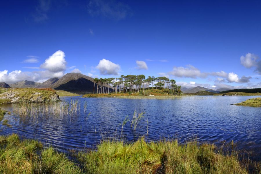 Dublin & Westport combinatiereis