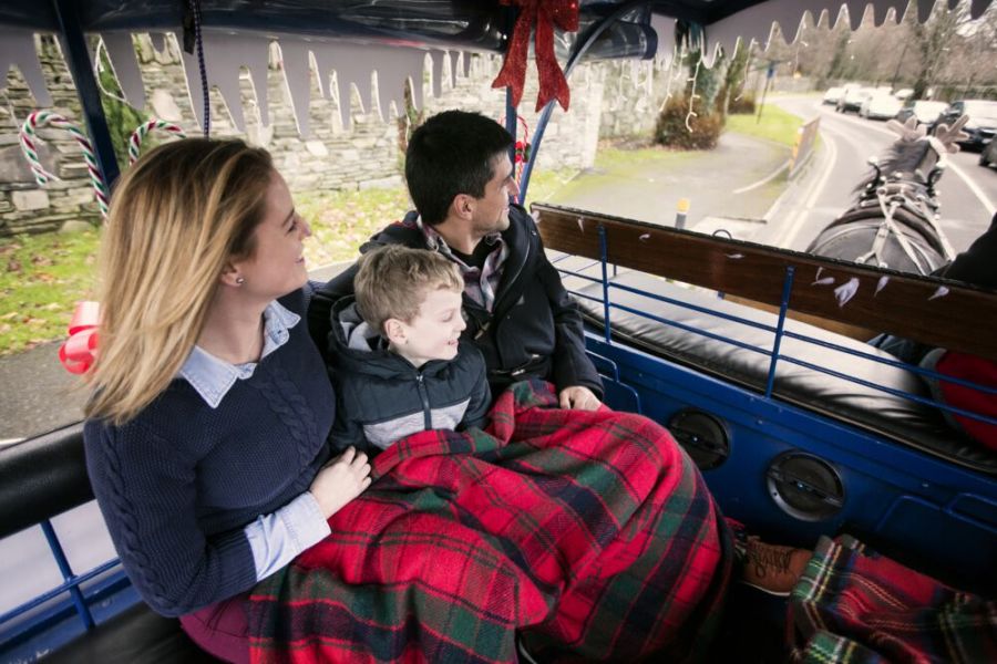 Killarney jaunting car tours