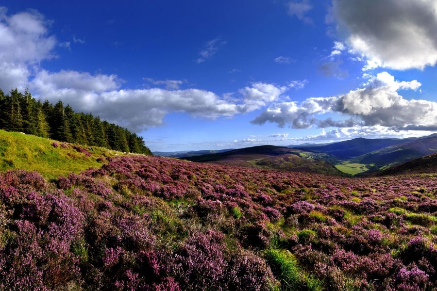 Wicklow Mountains