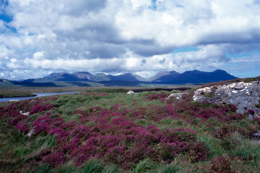 Connemara autorondreis Ierland B&B