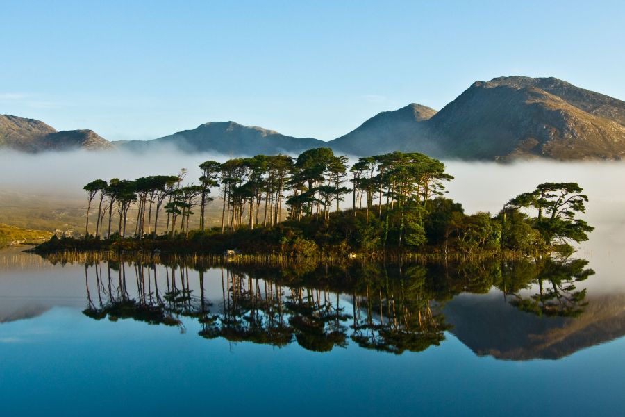 Pine Island Connemara Ierland