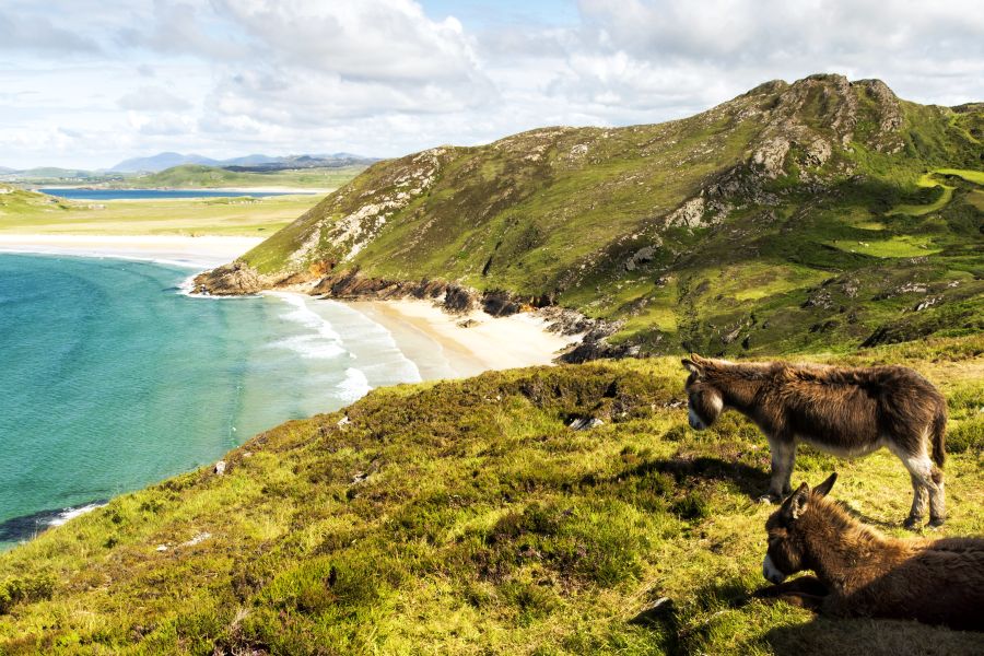 Donegal strand autorondreis Ierland Inns