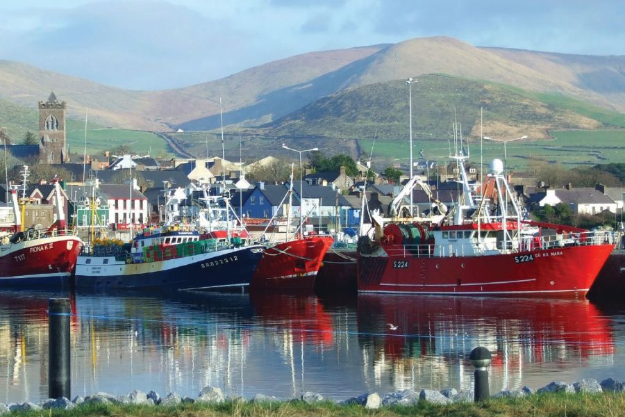 Dingle autorondreis Ierland Inns