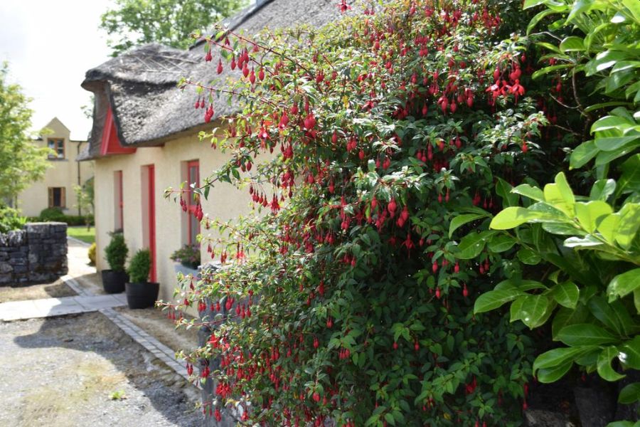 Burren Court Cottages, Ballyvaughan