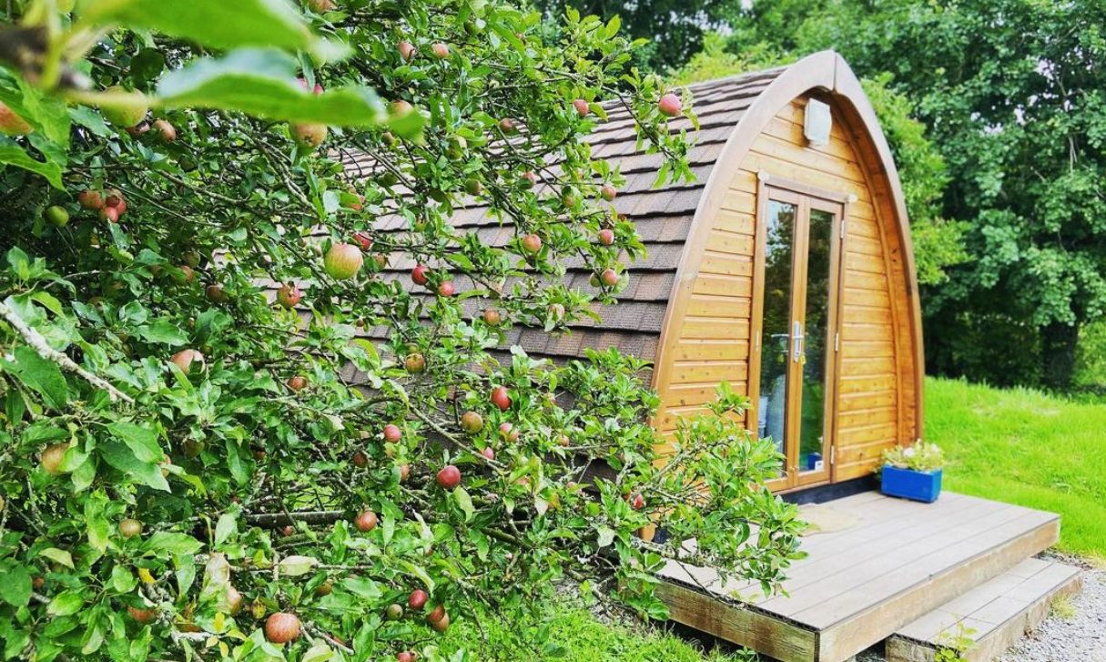 Farmyard Lane Glamping - Killarney