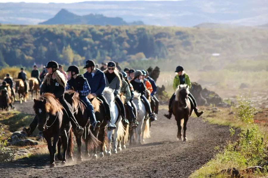 Paardrijden Lava Tour