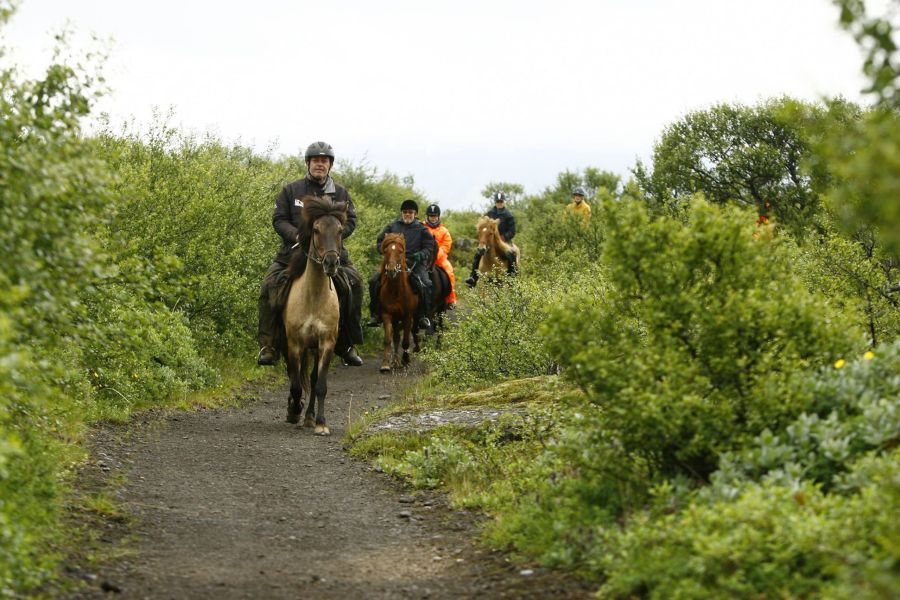 Paardrijden Lava Tour