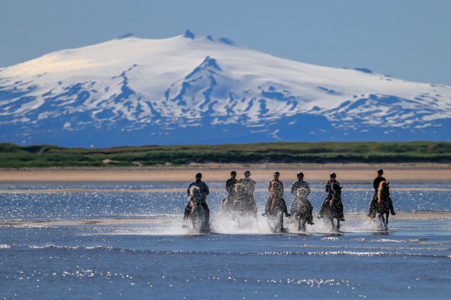 Paardrijden Autorondreis IJsland