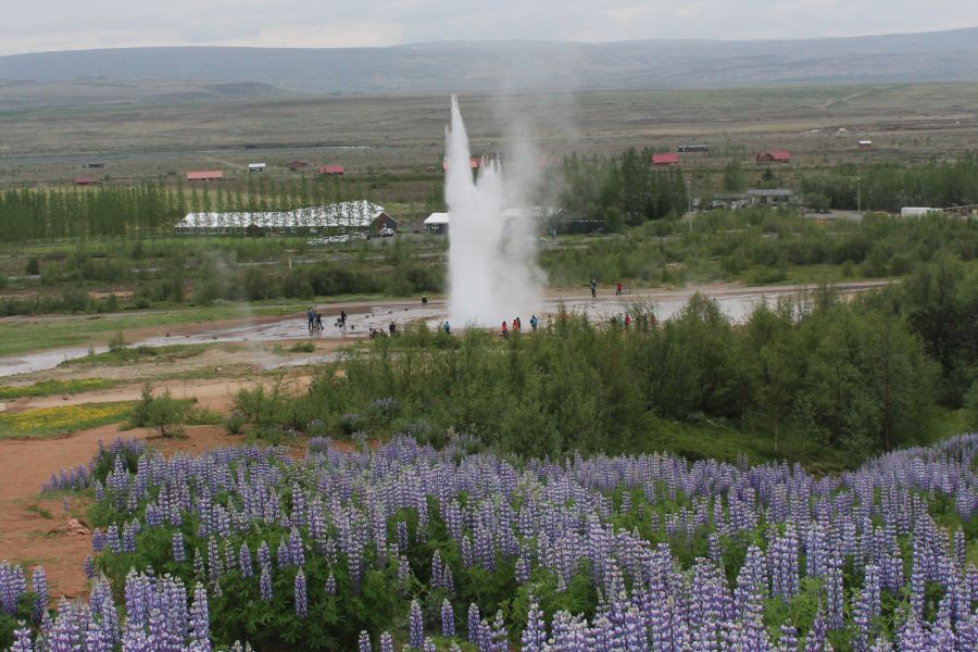 Autorondreis IJsland guesthouses