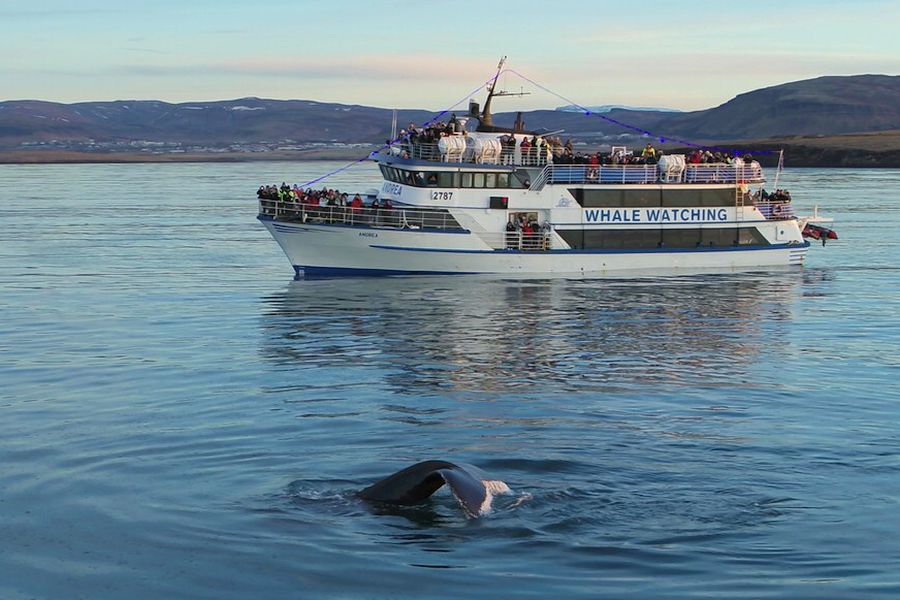 Vliegreis Kennismaking Met  IJsland incl.excursies