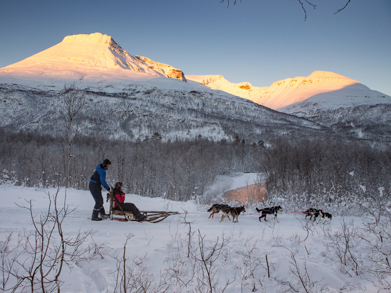 Tromsø Huskysafari bij Camp Tamok