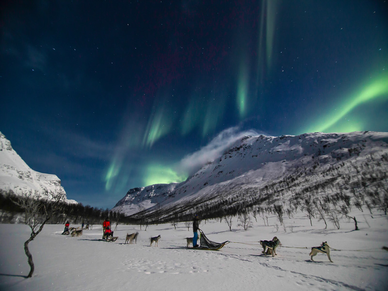 Tromsø Huskysafari bij Camp Tamok