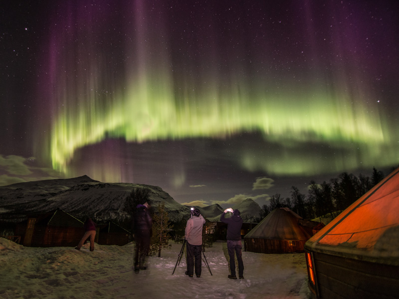 Tromsø Huskysafari bij Camp Tamok