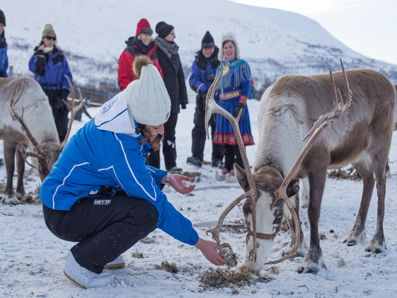 Tromsø Rendiersafari bij Camp Tamok 