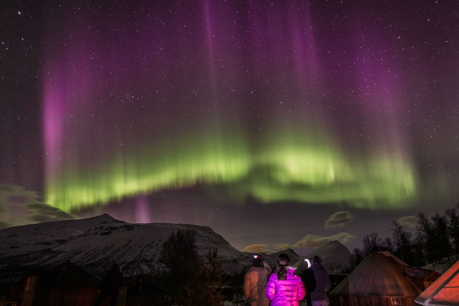 Tromsø Noorderlicht bij Camp Tamok