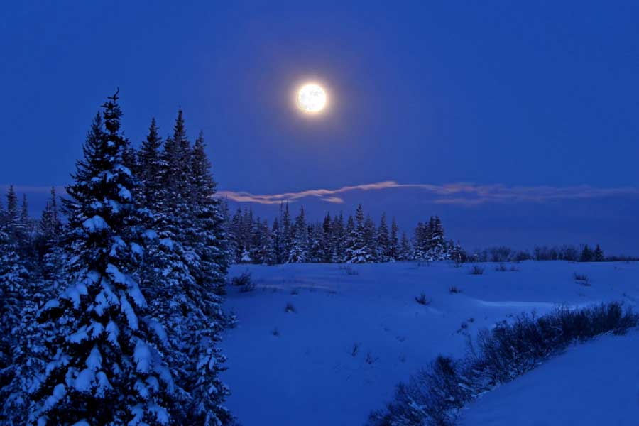 Magic Night sneeuwschoensafari 2 uur, Trysil
