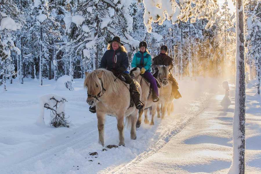 Winter paardrijtocht 2,5 uur, Trysil