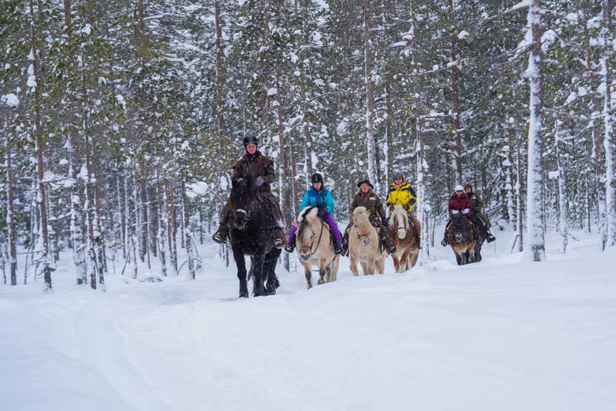 Winter paardrijtocht 2,5 uur, Trysil