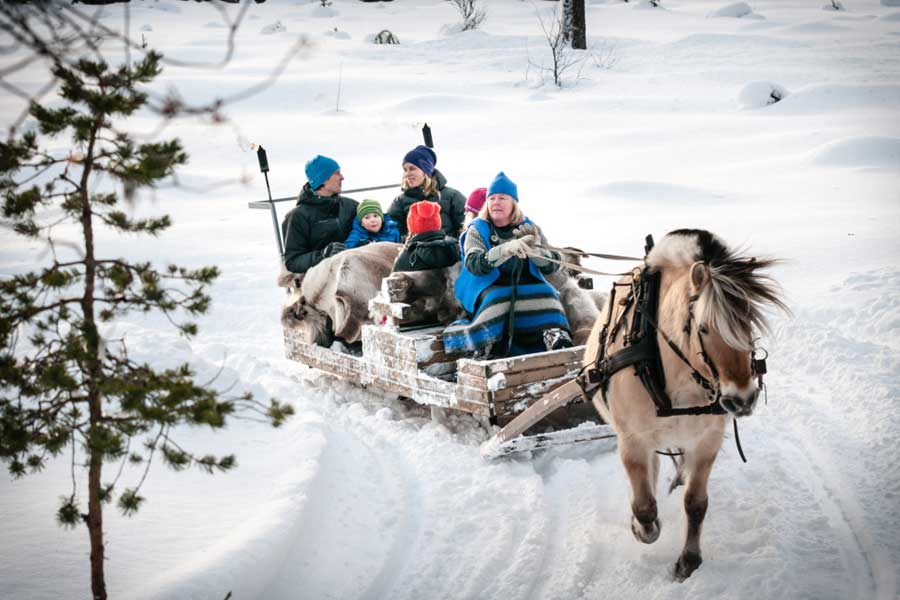 Winterse arrensleetocht 1,5 uur, Trysil