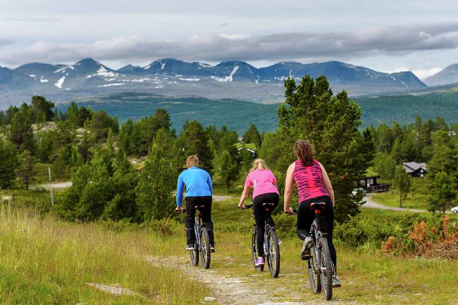 Mountainbiken in Geilo 