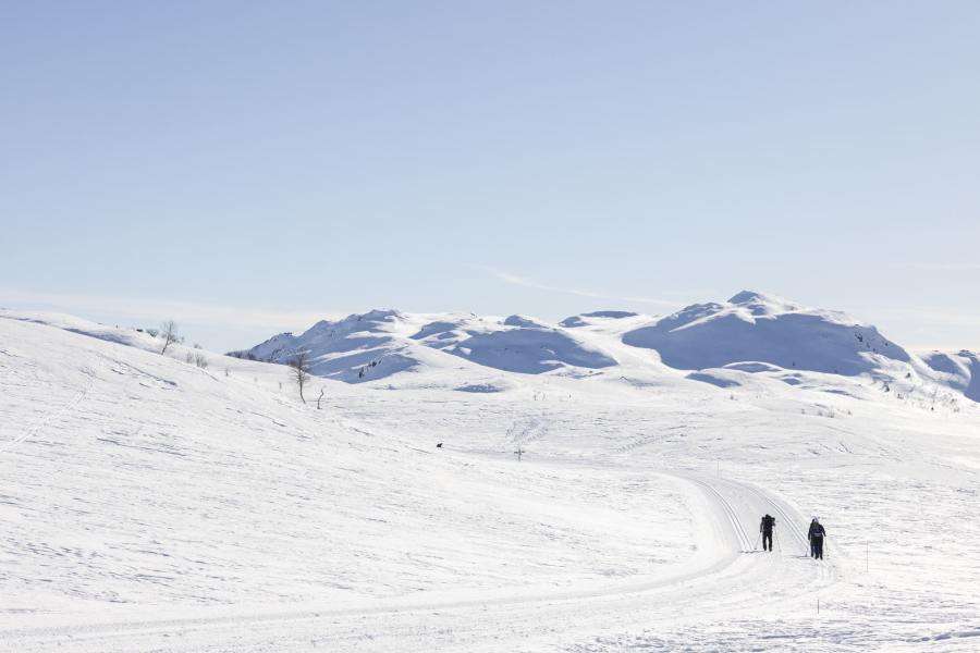 Langlaufers in de stralende zon in Rauland