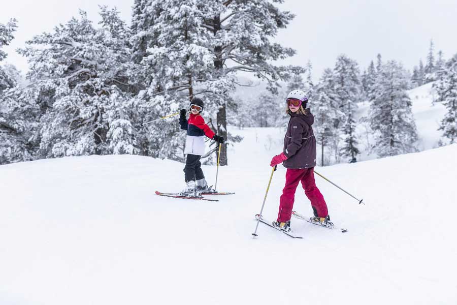 Skiërs in Vrådal
