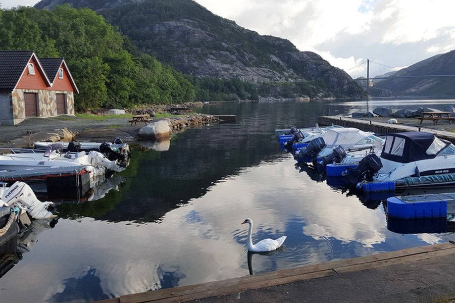 Herfstarrangement naar de fjorden