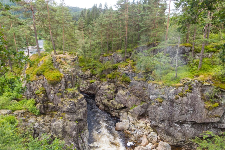 Herfstarrangement naar de fjorden