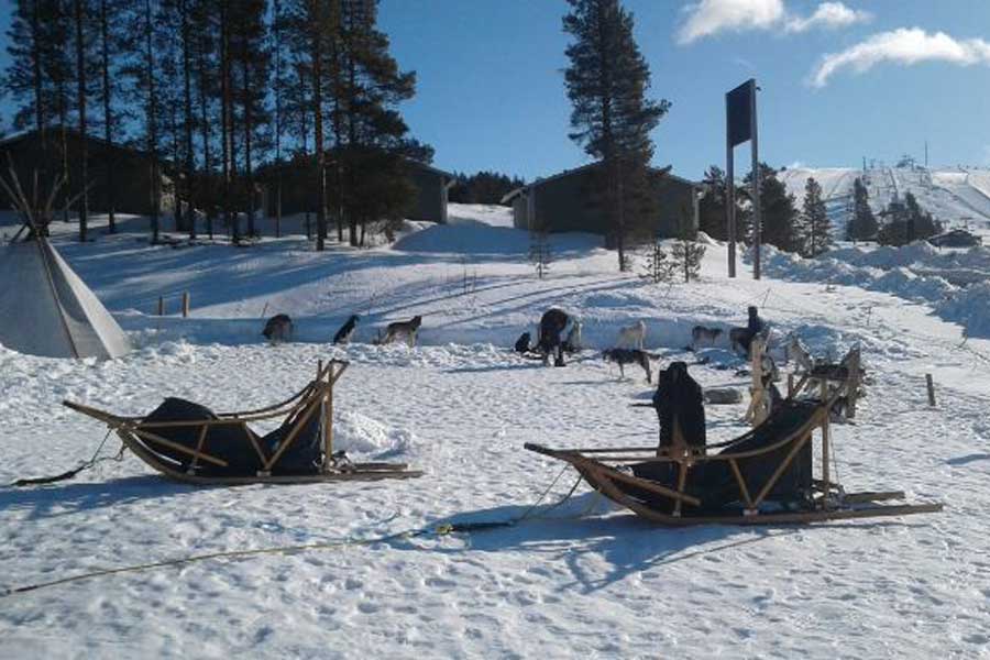Huskysafari kort, Idre Fjäll
