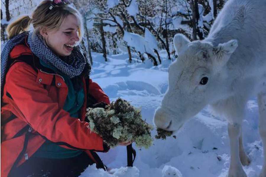 Sami en rendieren belevenis Idre Fjäll