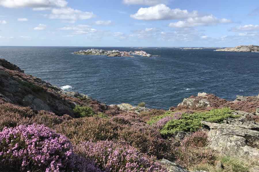 Dyrön
